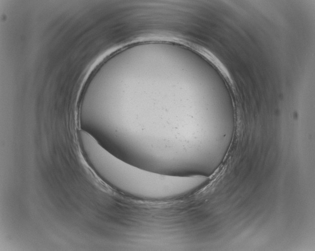 X0000080770996200701021117