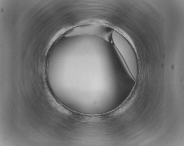 X0000080770997200701021117