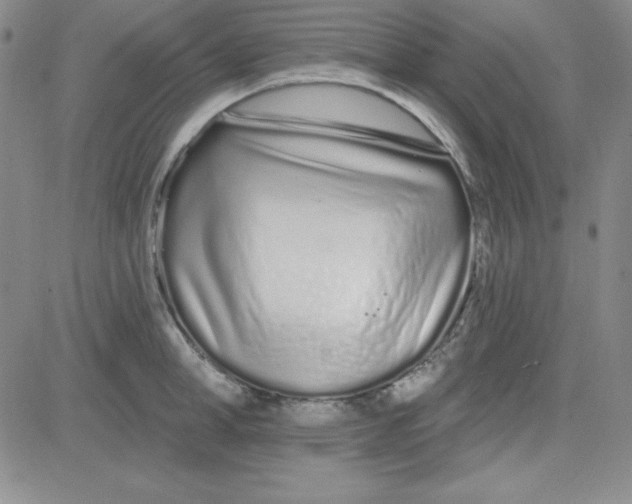 X0000080770998200701021117