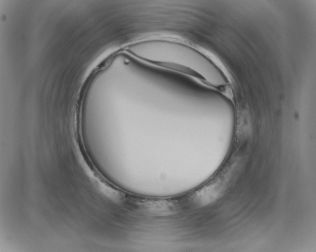 X0000080770999200701021117