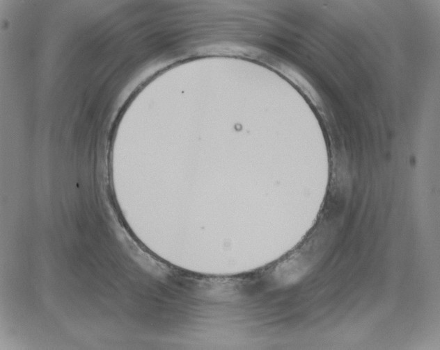 X0000080771000200701021116