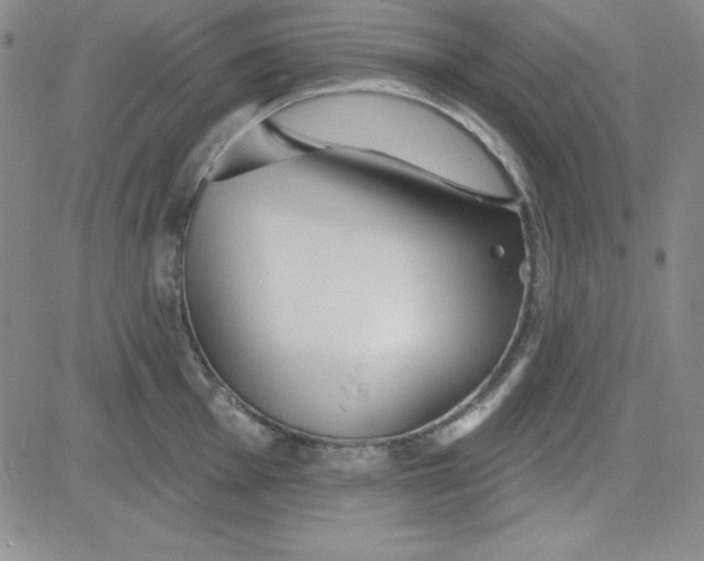 X0000080771001200701021116