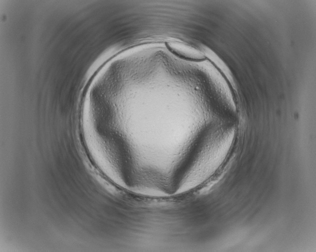 X0000080771002200701021116