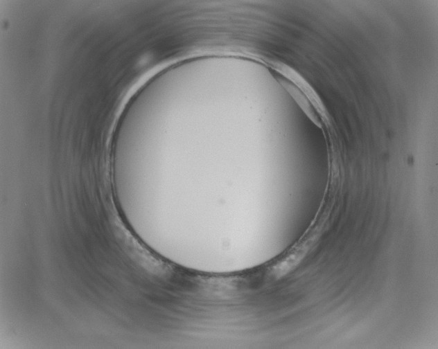 X0000080771004200701021116