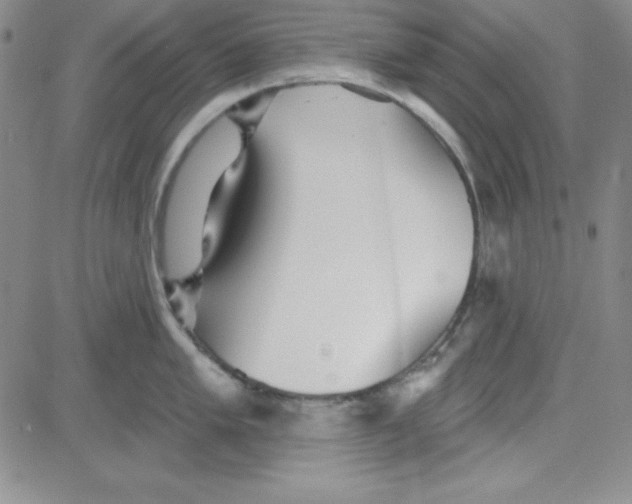 X0000080771005200701021116