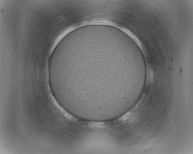 X0000080771006200701021116