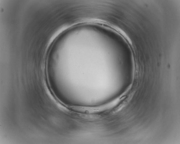 X0000080771007200701021116