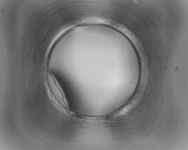 X0000080771008200701021116