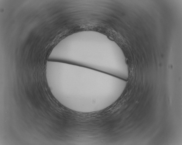 X0000080771012200701021116