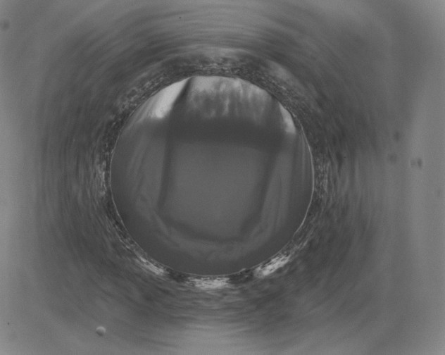 X0000080771013200701021116