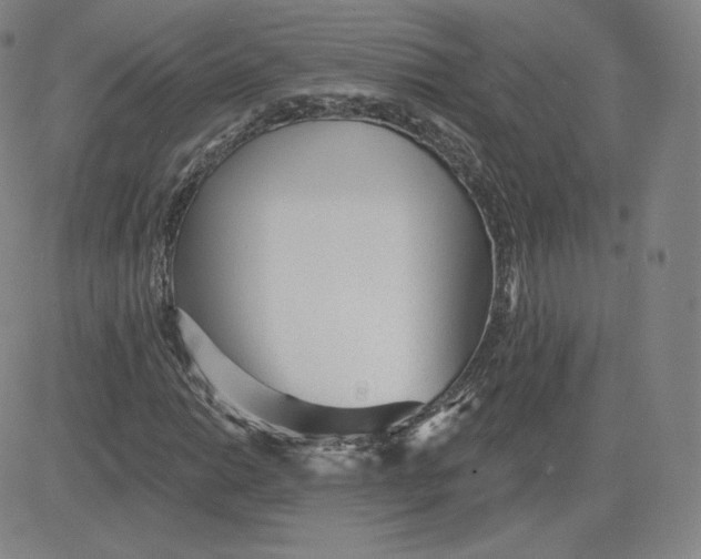 X0000080771014200701021116