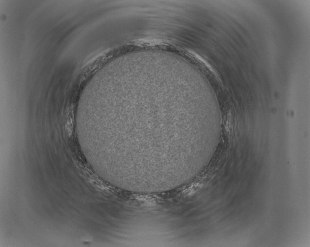 X0000080771015200701021116