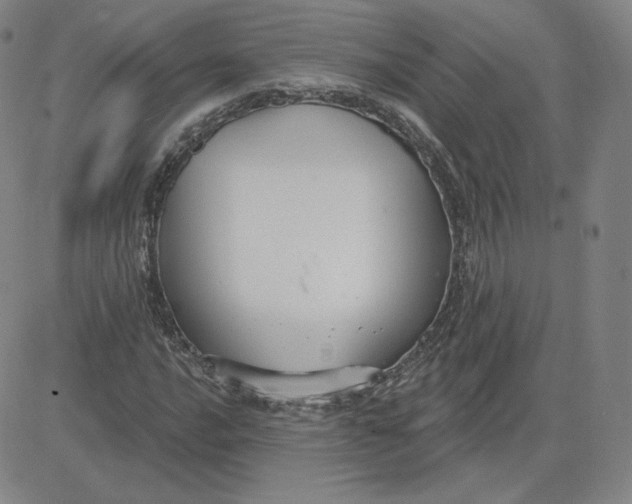 X0000080771016200701021116