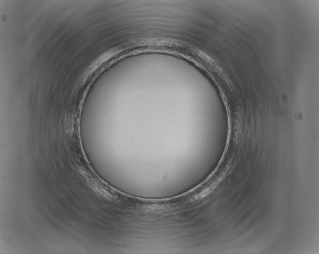 X0000080771017200701021116