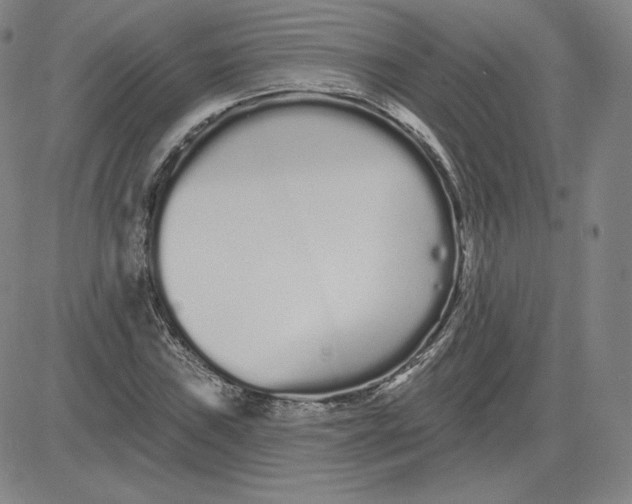 X0000080771019200701021116