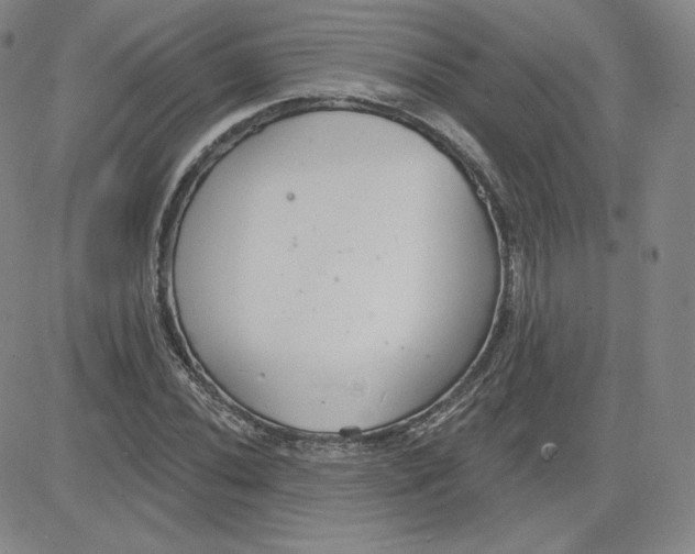 X0000080771020200701021116