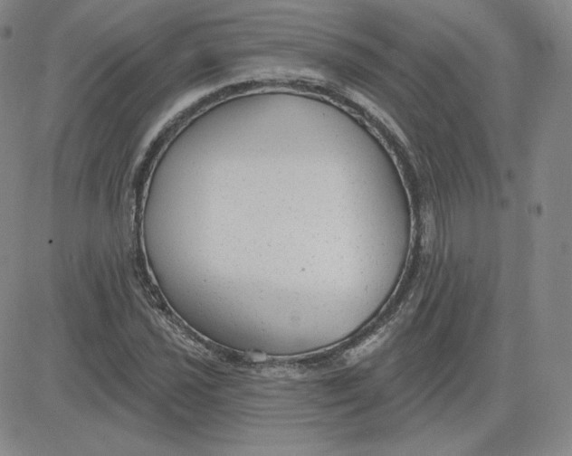 X0000080771021200701021116