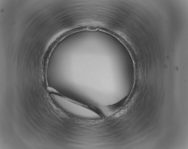 X0000080771022200701021116