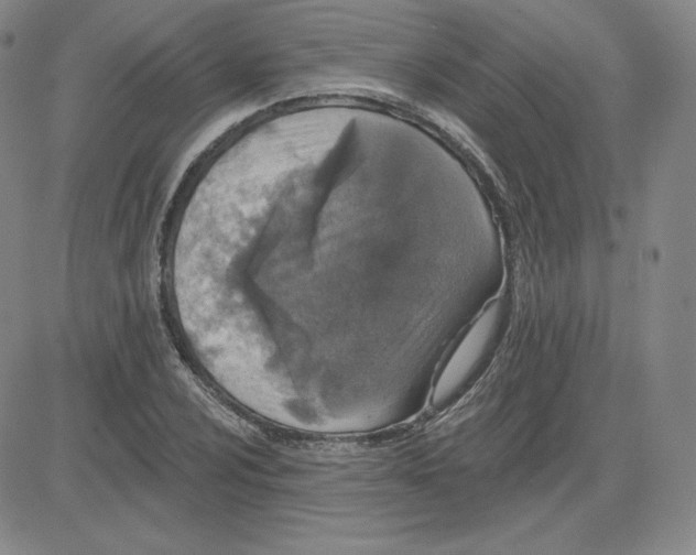 X0000080771024200701021116