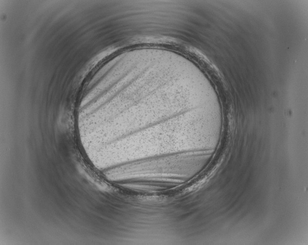 X0000080771025200701021116