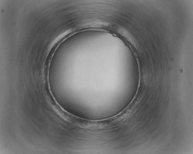 X0000080771026200701021116