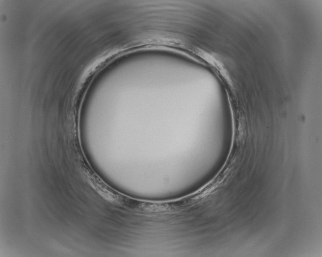 X0000080771027200701021116