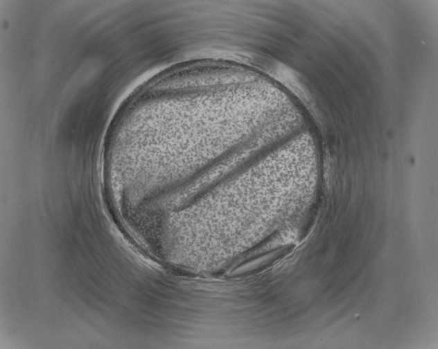 X0000080771028200701021116