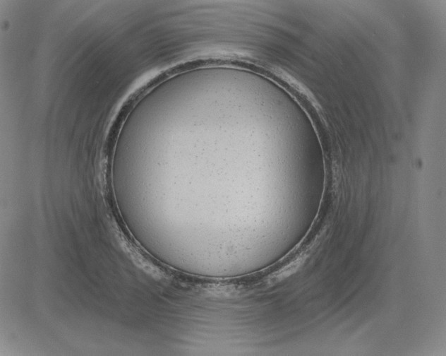 X0000080771029200701021116