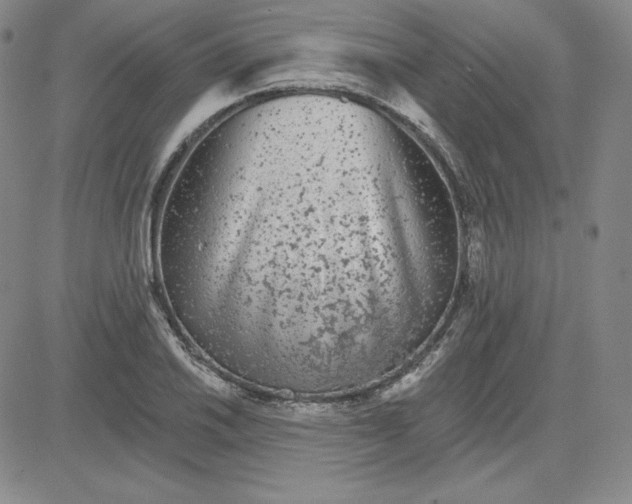 X0000080771030200701021116