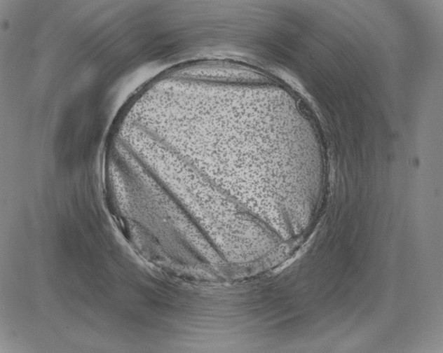 X0000080771032200701021116