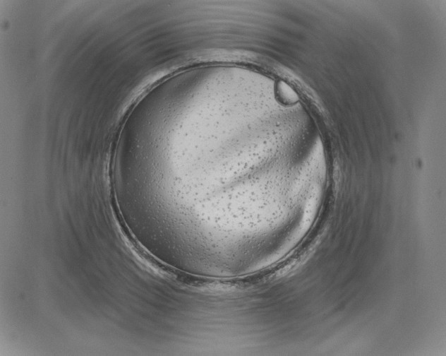 X0000080771033200701021116