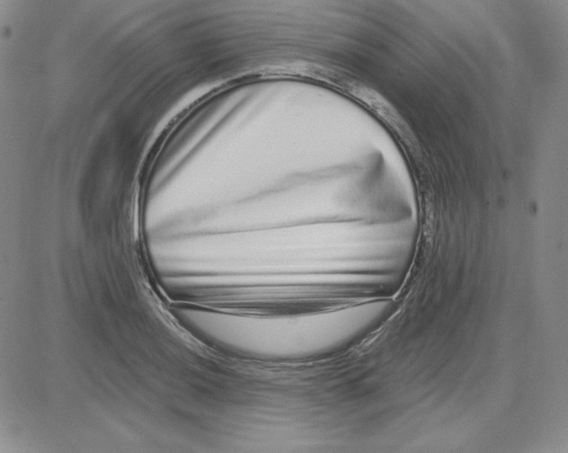 X0000080771036200701021116