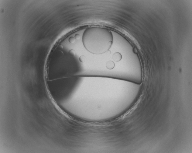 X0000080771037200701021116