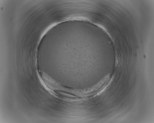 X0000080771038200701021116