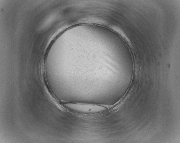 X0000080771040200701021116