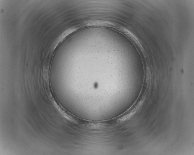 X0000080771041200701021116