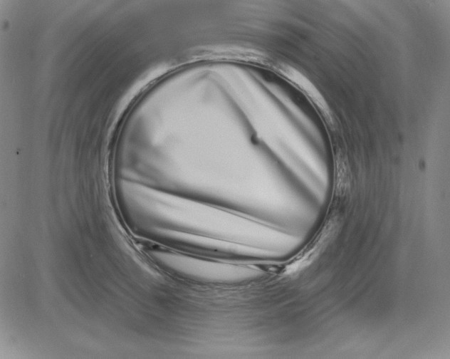 X0000080771043200701021116