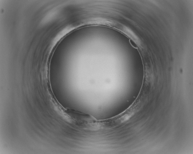 X0000080771044200701021116