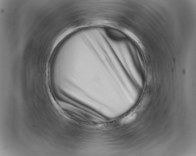 X0000080771047200701021116