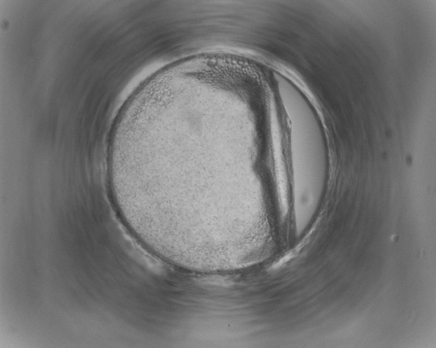 X0000080771048200701021116