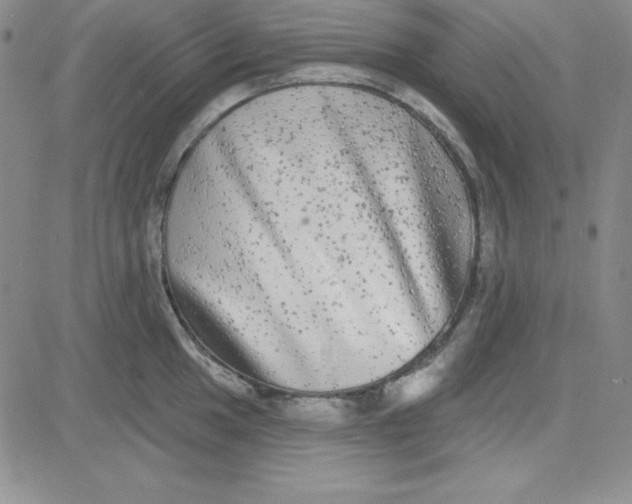 X0000080771049200701021116