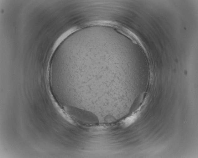 X0000080771050200701021116