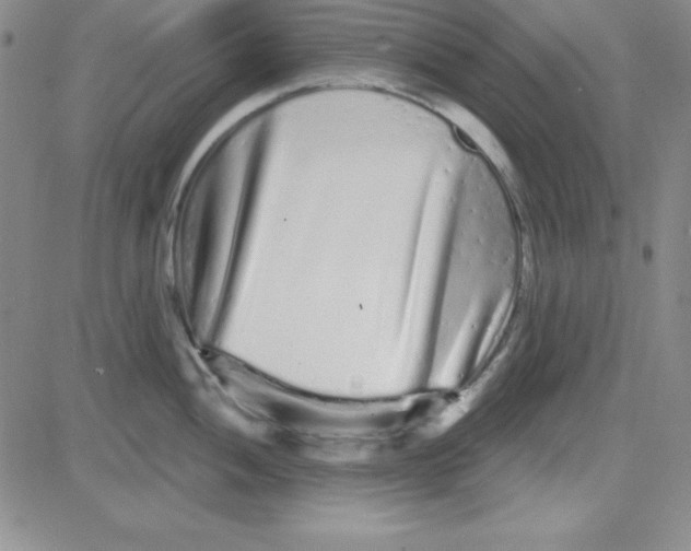 X0000080771052200701021116