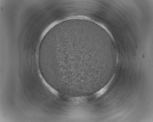 X0000080771054200701021116