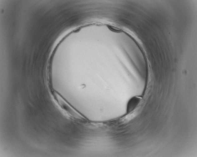 X0000080771056200701021116