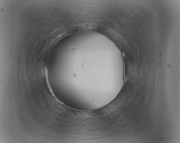 X0000080771058200701021116