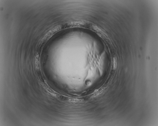 X0000080771059200701021116