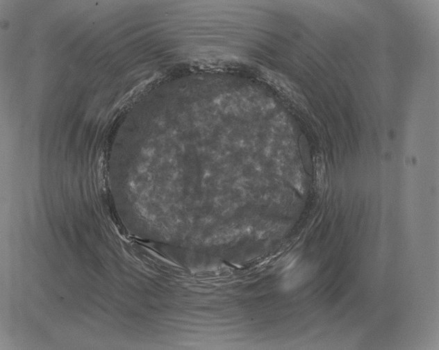 X0000080771060200701021116