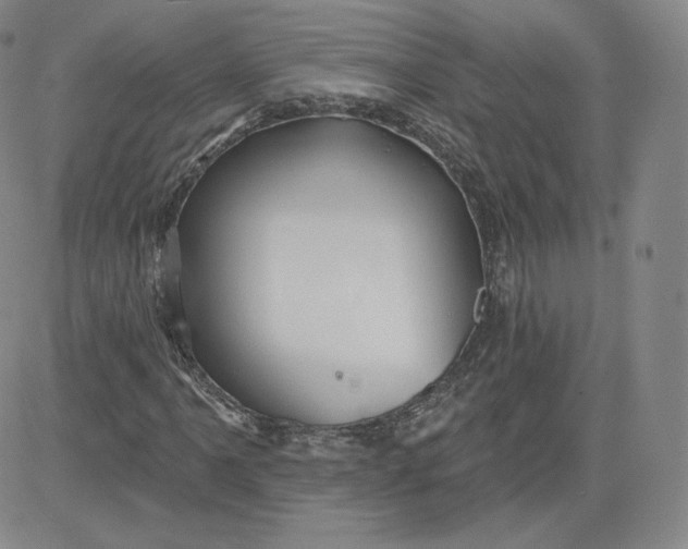 X0000080771061200701021115