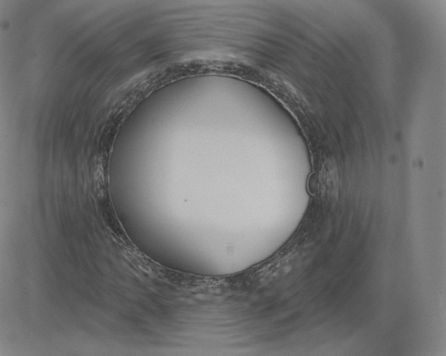 X0000080771062200701021115